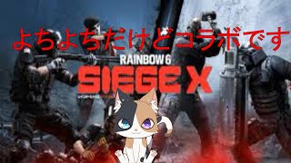 【シージ】よちよちだけどありがとうコラボです