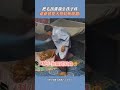 把毛孩當親生孩子疼 爺爺替愛犬搭蚊帳暖翻! #shorts @Truemii