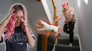 I Dropped Our Puppy Prank! *My Girlfriend Cries*
