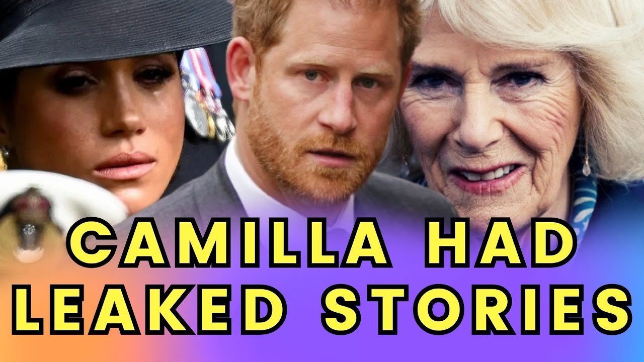 Queen Camilla had leaked stories to the media to improve her public