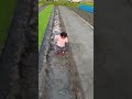 頑張れ! 負けるな!