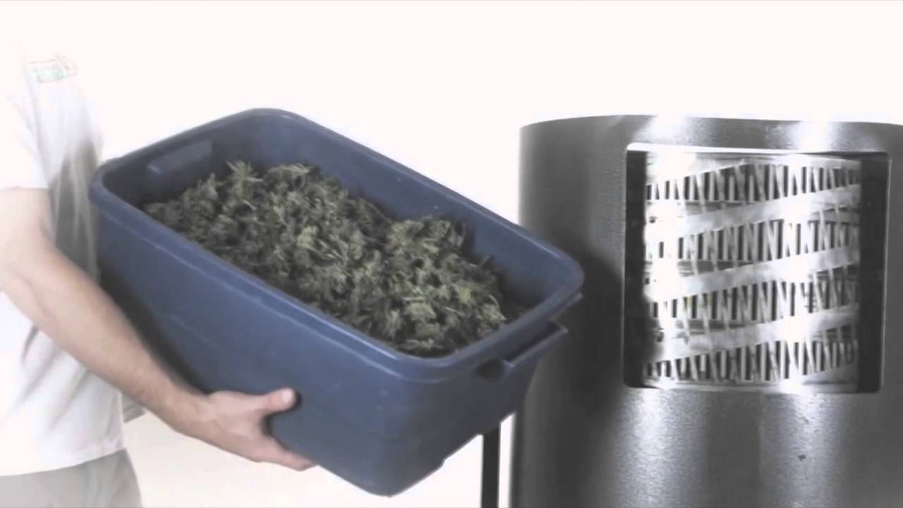 Trimpal Dry Leaf Trimmer Official Product site YouTube