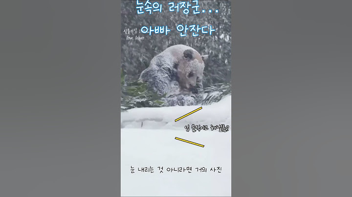 #눈속의 러바오, 아빤 안잔다 💤😅