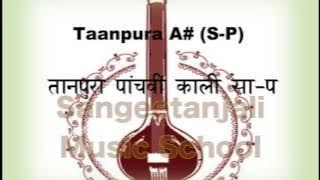 तानपूरा पाँचवीं काली - सा-प (Tanpura A# S P)