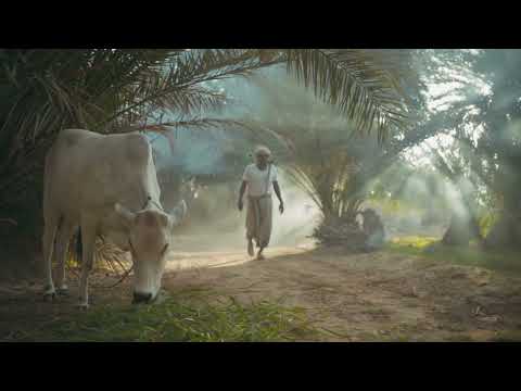 فواصل رمضان تلفزيون حضرموت المزارع