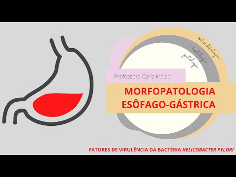 Vídeo: Os Impactos Dos Fatores De Virulência De H. Pylori No Desenvolvimento De Doenças Gastroduodenais