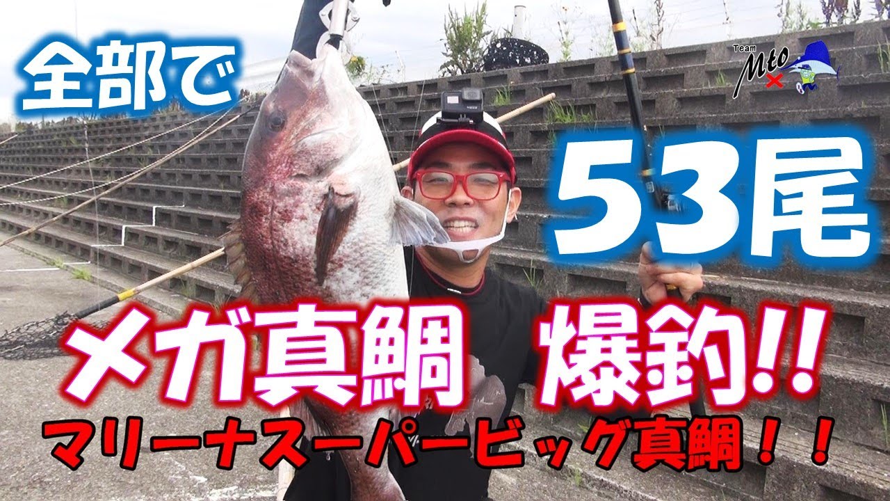 和歌山マリーナシティ海釣り公園 海洋釣り堀 ファミリーフィッシングも快適