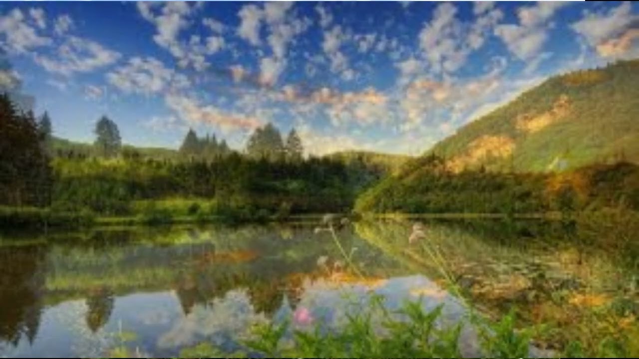 LO MİRO MİLET XAYİNE