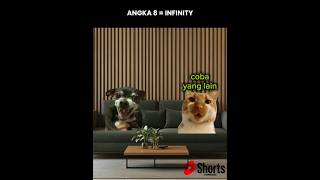 angka 8=infinity🤯🤯song: @HamsarKapongke #funny #catmemes #fyp #beranda