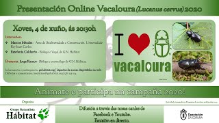 Campaña 2020 – Vacaloura (Lucanus cervus)