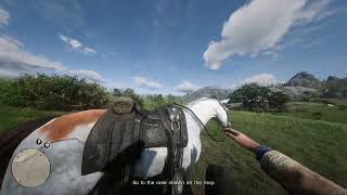 Red Dead Redemption 2 'Money Lending And Other Sins II' First Person 120 FOV 1440p 60FPS gameplay