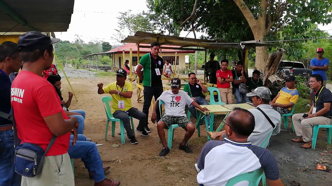 Cattle Auction Market Dialogue