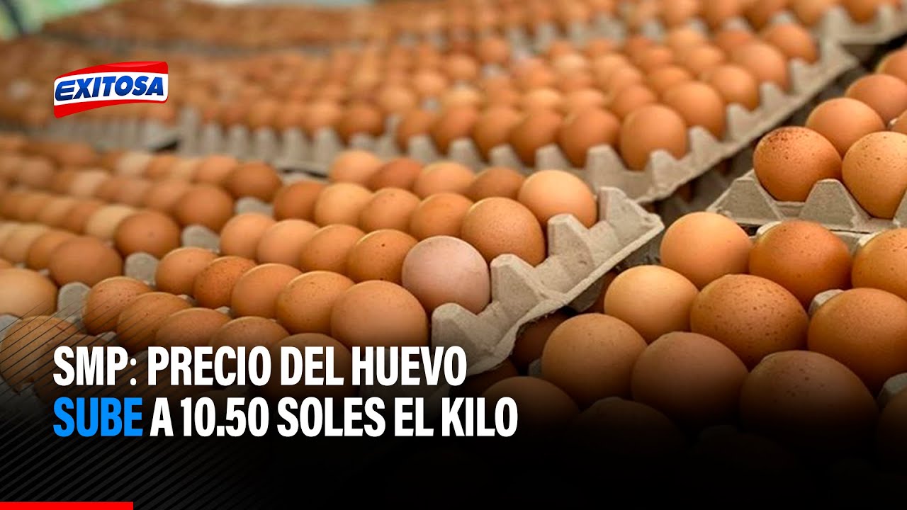 SMP Precio Del Huevo Sube A 10 50 Soles Y El Pescado Baja A 3 Soles smp-precio-del-huevo-sube-a-10-50-soles-y-el-pescado-baja-a-3-soles