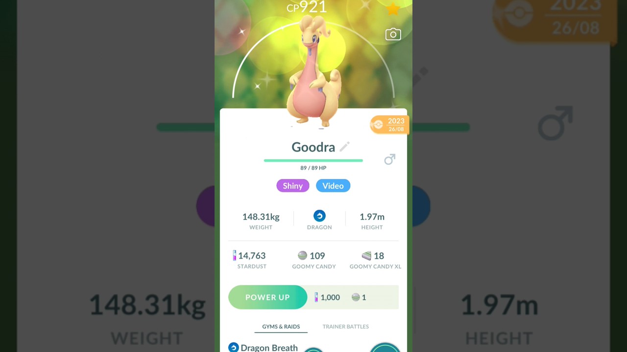 What is the best dragon type? 