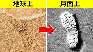 面白トリビア集