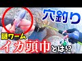 【穴釣り】イカ頭巾という名の謎ワーム！ブラクリにセットして釣ってみた