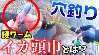 【穴釣り】イカ頭巾という名の謎ワーム！ブラクリにセットして釣ってみた