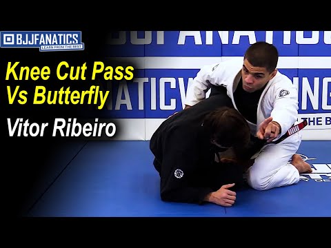 Knee Cut Pass Vs Butterfly by Vitor "Shaolin" Ribeiro