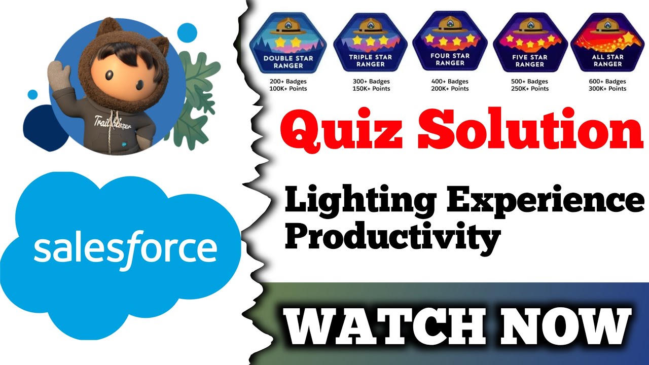 Lightning Experience Productivity | Salesforce Trailhead | Quiz ...