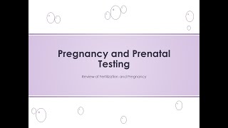 Pregnancy Review Clinical Chemistry