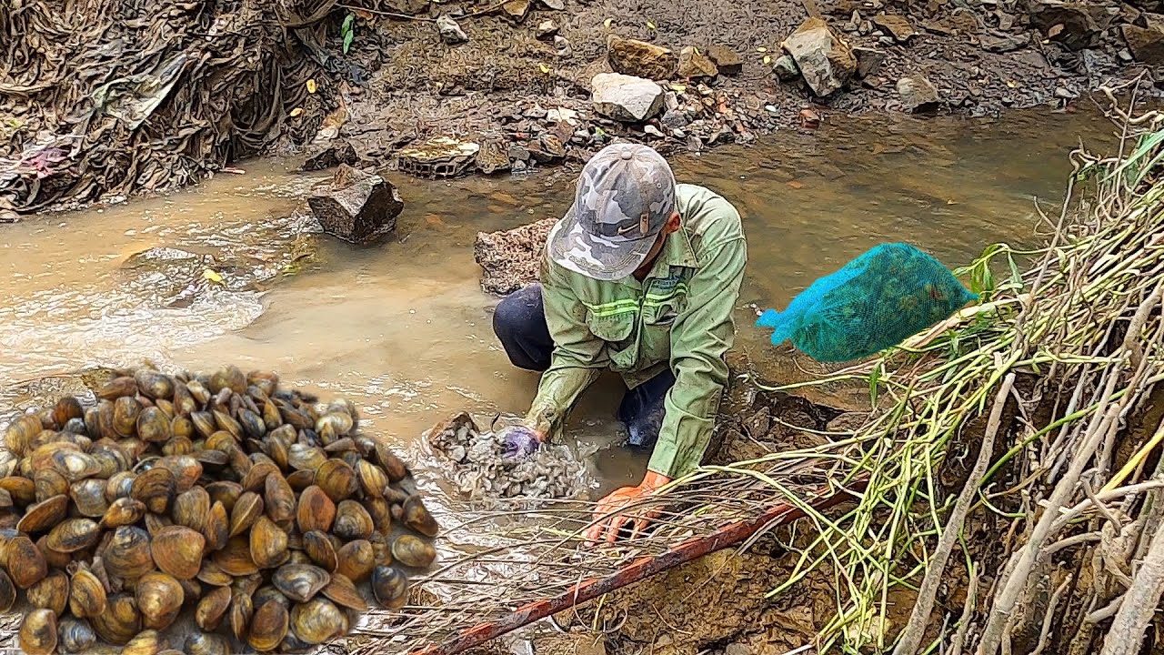 Vào Khe Đá Bắt Trúng Ổ Đầy Bao Hải Sản Hốt Thêm Tổ Ong Một Ngày Trúng Đậm