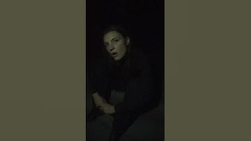 Sophia Stel - Object Permanence