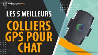 ⭐️ MEILLEUR COLLIER GPS POUR CHAT - Avis & Guide d'achat (Comparatif 2021)