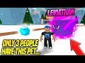 He Traded Me the SECRET PET in BUBBLE GUM SIMULATOR!! *ONLY 3 PEOPLE HAVE IT* (Roblox)