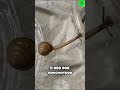 Слизень который смог D Слизень который смог D