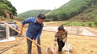 Growing ginger with an ex: Unexpected moments on the small farm. Ly Vy Ca  screenshot 3