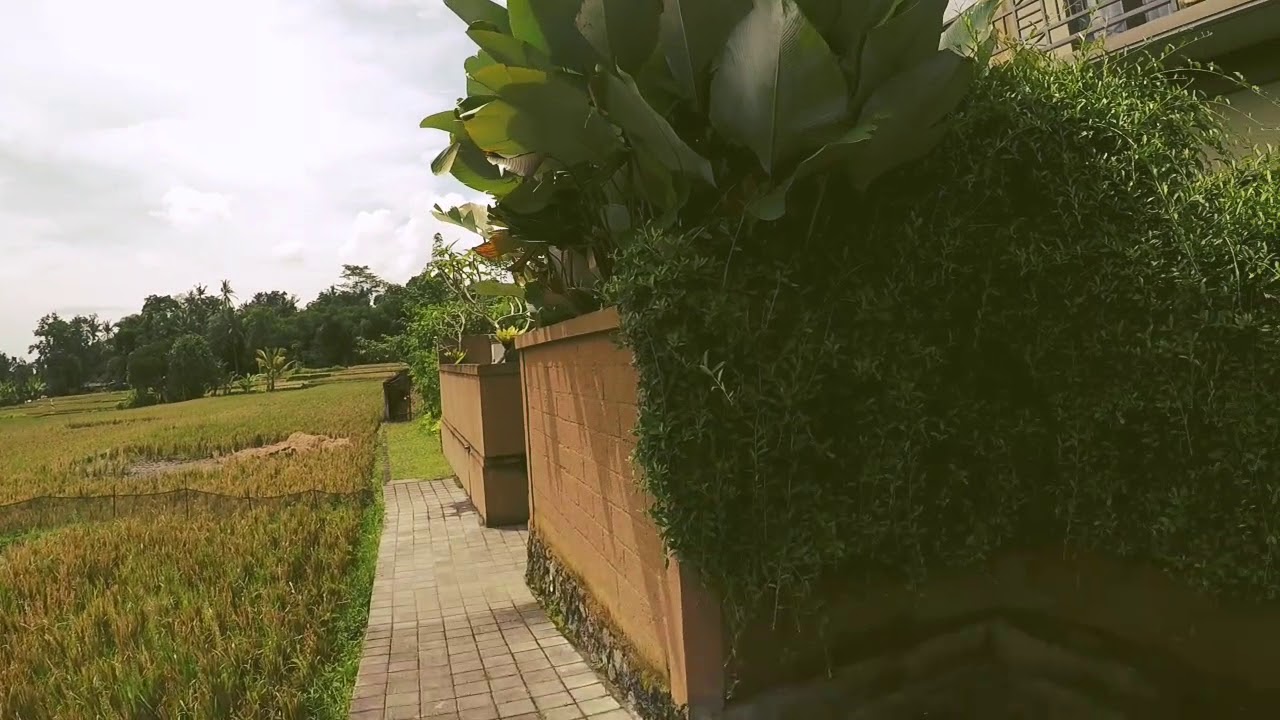 Heaven Villa in Ubud