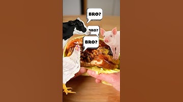 Why I Went Vegan (Pt. 2)