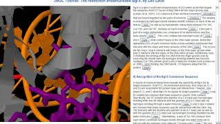 Celebrity Universal Peer to Peer Screencast Demo - Second Draft Wealth