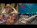 Most Incredible Recent Discoveries! | ORIGINS EXPLAINED COMPILATION 18