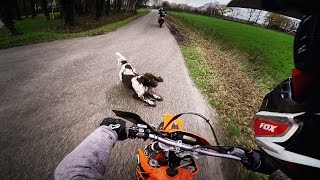 Angry Dog attacks biker