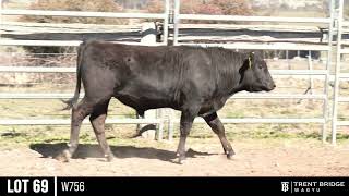 LOT 69 W756