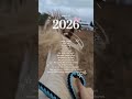 let's hope it happens #horses4life #horse #equestrian
