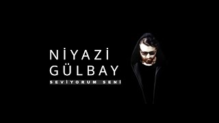 Niyazi Gülbay - Seviyorum Seni Resimi