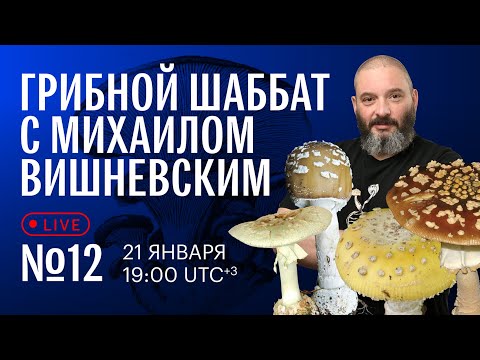 Грибной шаббат с Михаилом Вишневским №12. Другие мухоморы