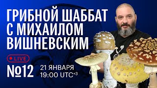 видео: Грибной шаббат с Михаилом Вишневским №12. Другие мухоморы картинка: Грибной шаббат с Михаилом Вишневским №12. Другие мухоморы