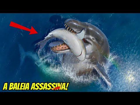 PaleoVida: BASILOSSAURO | O TERROR DOS MARES DO EOCENO!