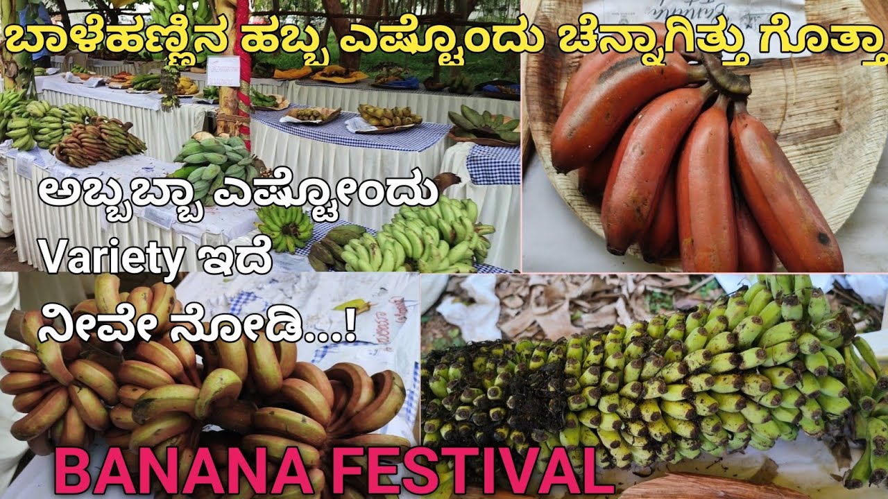 Banana Festival Mysore Banana Festival 2022 Sri Sanmarga YouTube