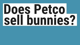 Does Petco sell bunnies?