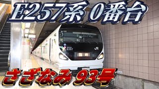 【E257系0番台で運転】さざなみ93号に乗ってきた！東京→館山