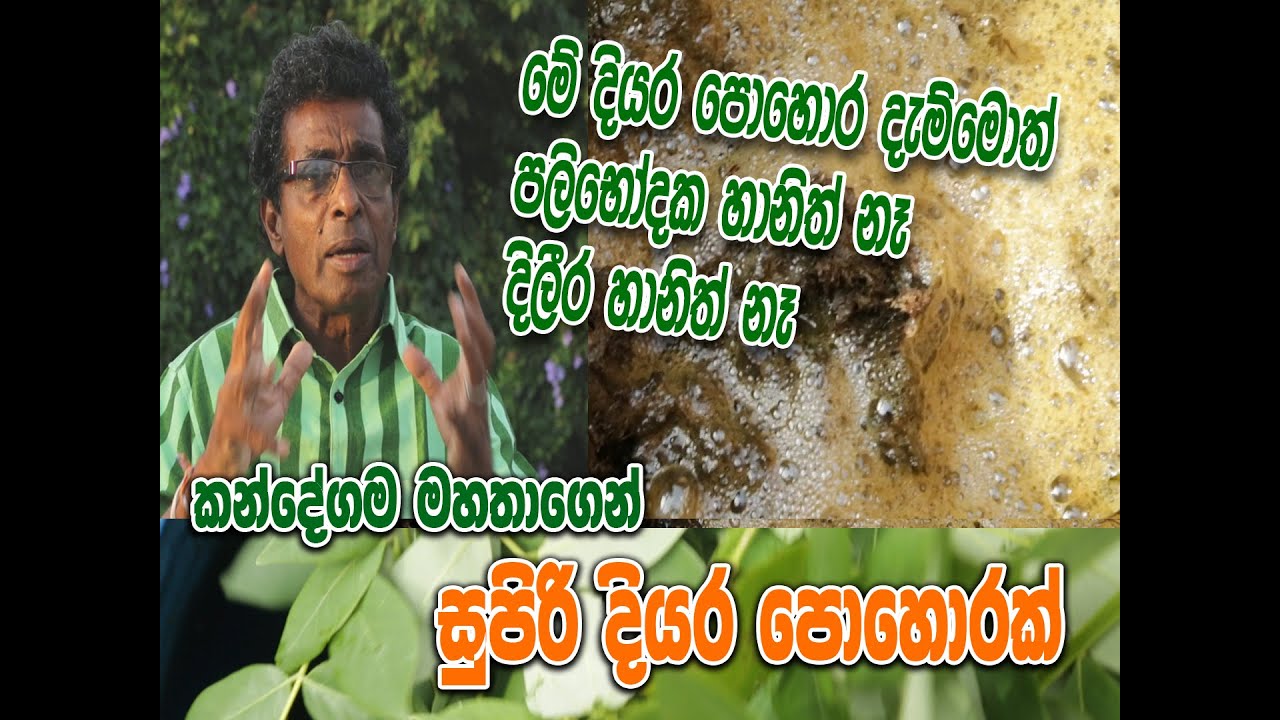 කන්දේගම මහතාගෙන් සුපිරි දියර පොහොරක් @kandemahagamaya  #පොහොර #kandemahagamaya #Thilakkandegama
