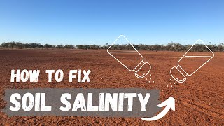 Soil Salinity | What is it and how to fix it? | Regenerative Agriculture