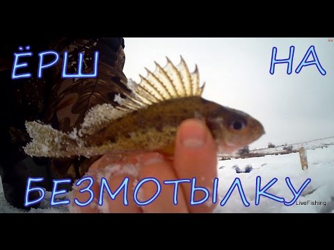 ерш ловля на безмотылку