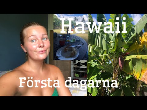 Hawaii: Första dagarna, familjen och TINDER // AUPAIRLIVET