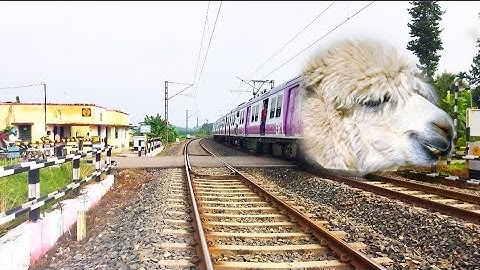 Fast & Furious Sheep Headed EMU Train Dangerous Moving Out At Railgate