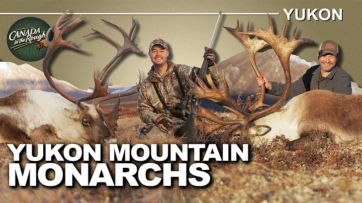 Stunning Giant Caribou hunt in the Yukon Mountains | Canada in the Rough